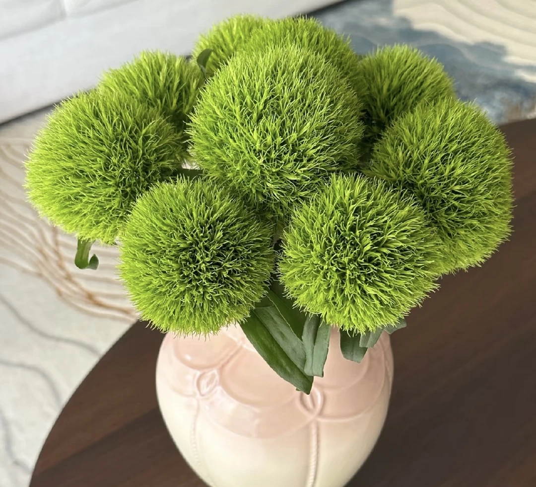 绿毛球  1扎 全场鲜花满两单升级顺丰冷链/德邦空运