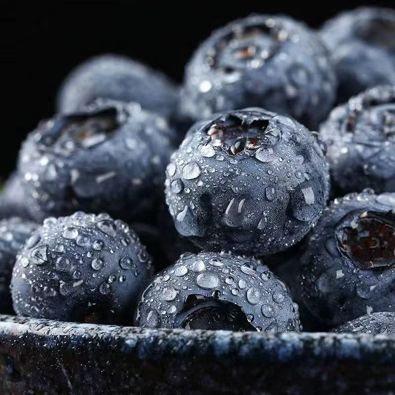 云南花香蓝莓18mm-22mm 125g*12盒  顺或京