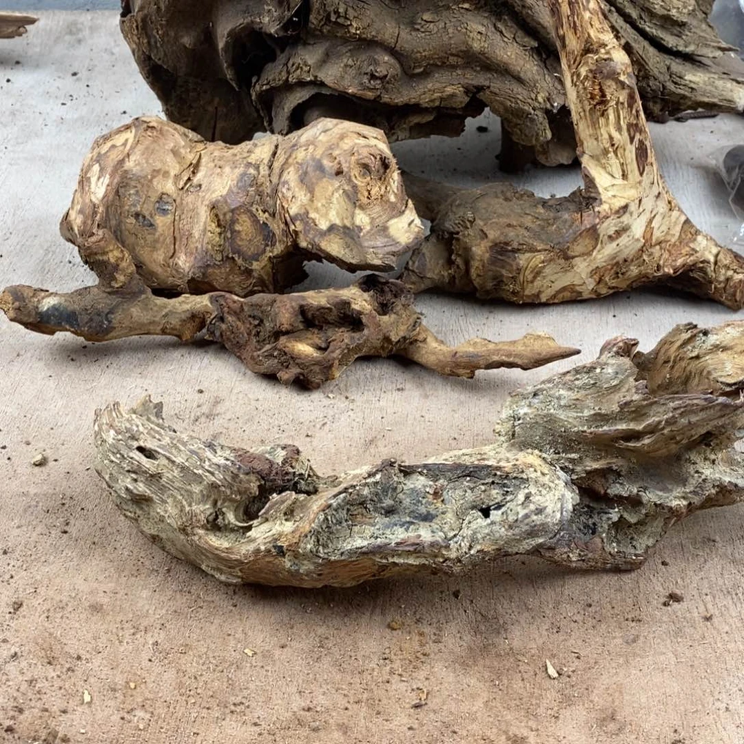 清***面黄花梨/降香黄檀降香黄檀黄花梨
