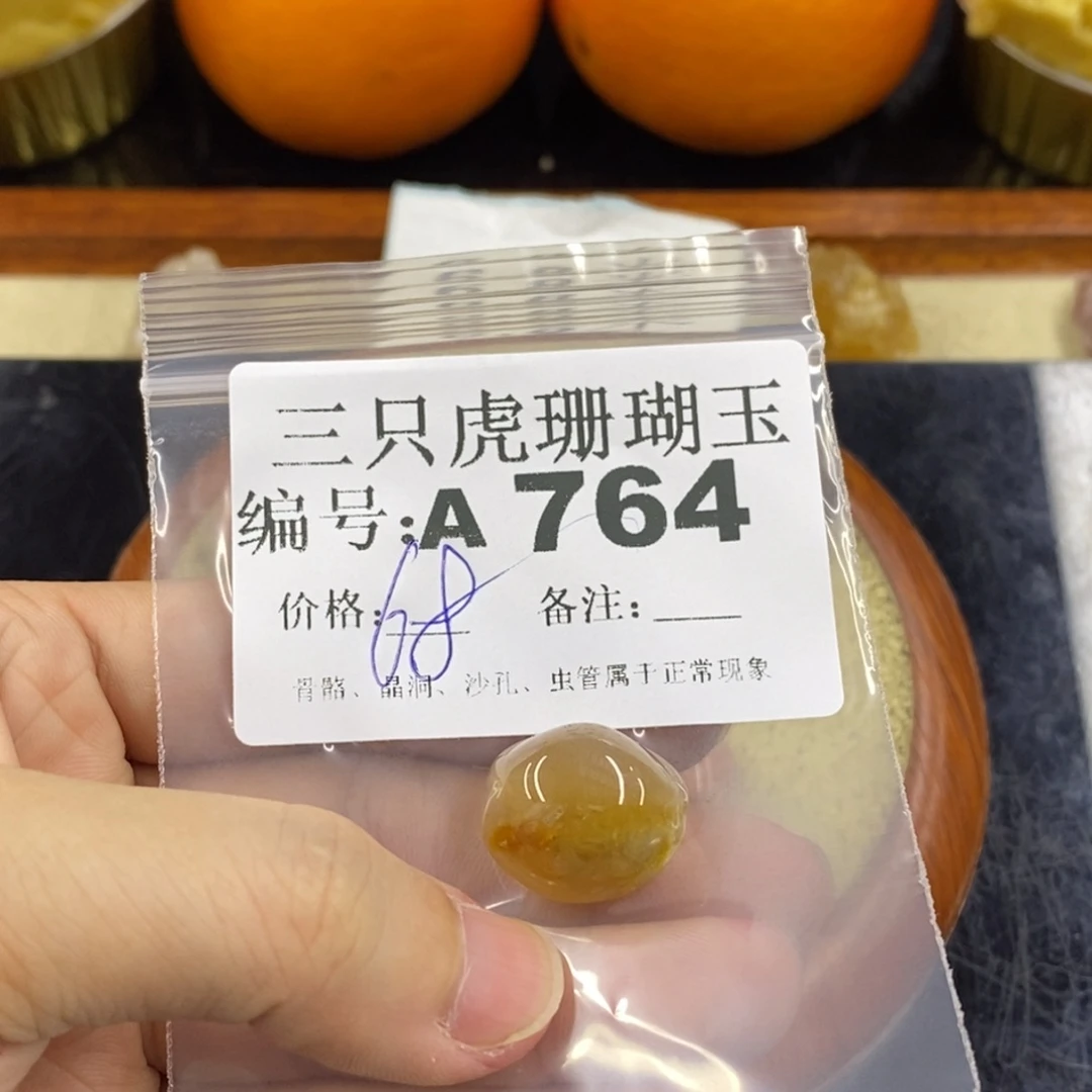 硅化珊瑚（珊瑚玉）1未镶嵌慧****1
