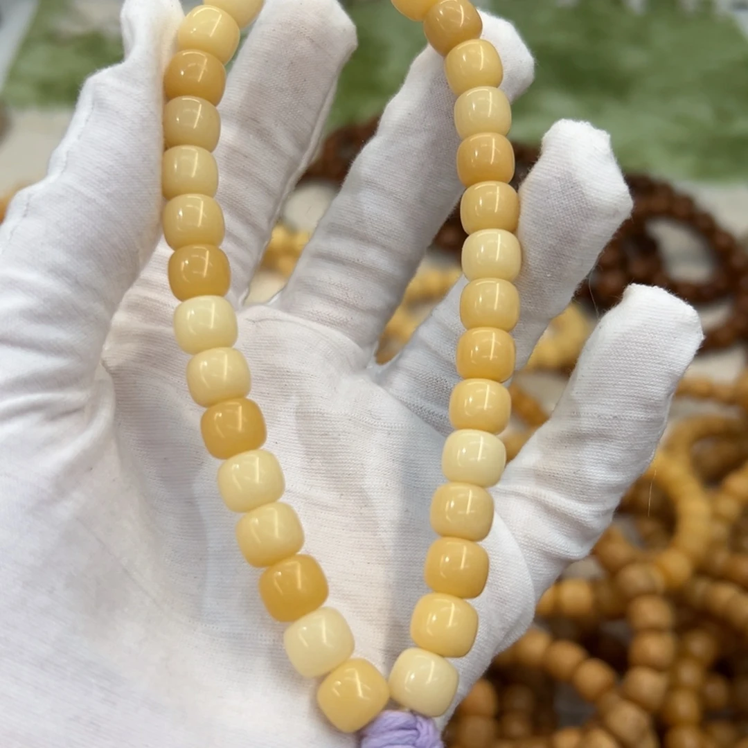吊坠菩提根/象牙果89树王936