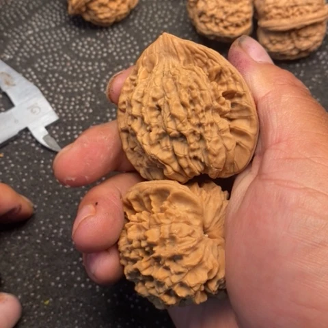 文玩核桃把件官帽5.5