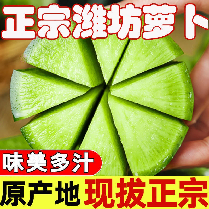 水果萝卜甜脆水果型潍坊萝卜正宗新鲜生吃潍县萝卜