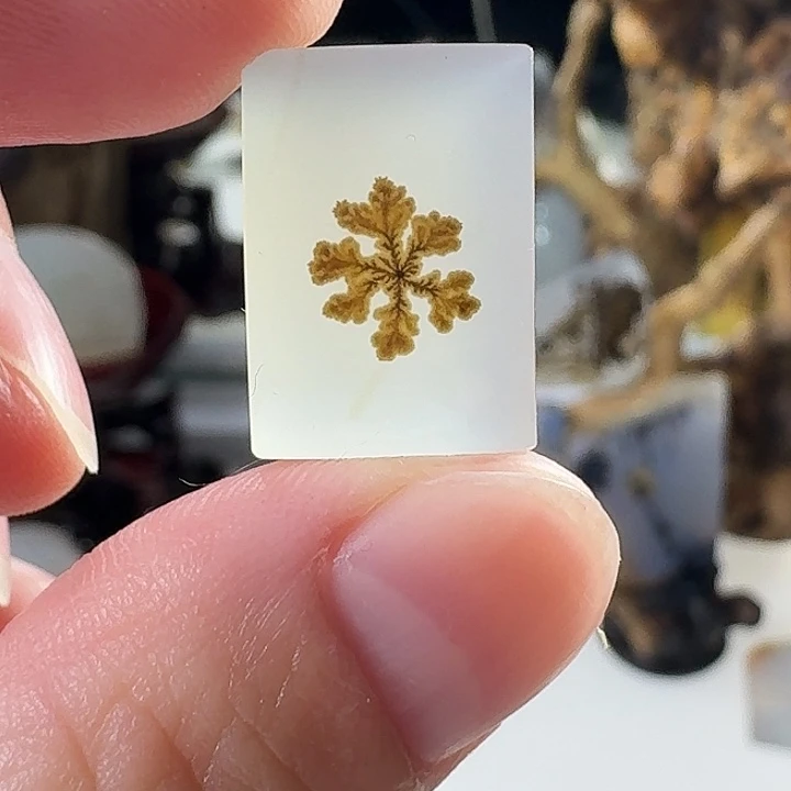 玛瑙/玉髓未镶嵌珠宝奇石