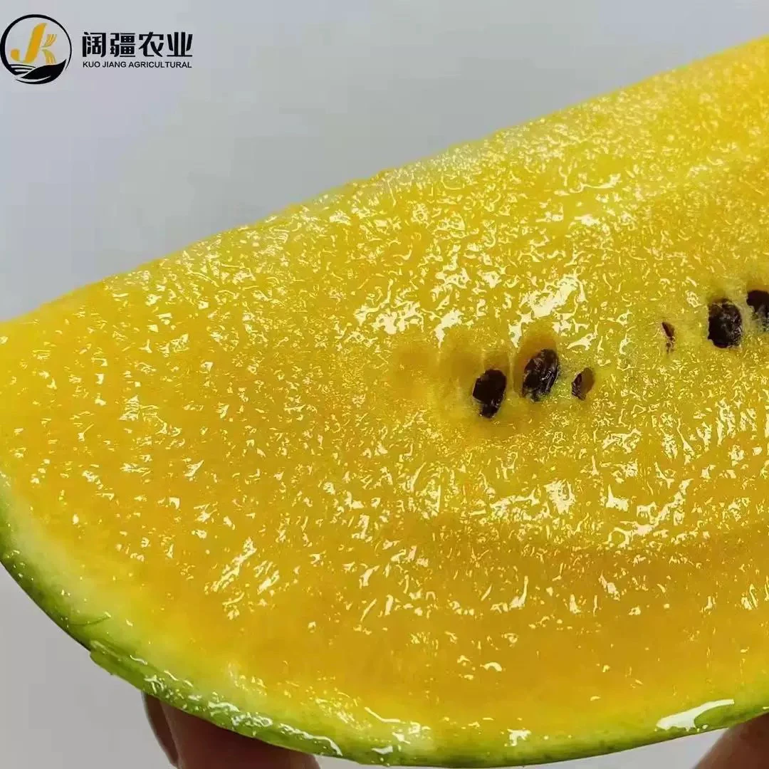 黄西瓜冰激凌西瓜1～2个装
