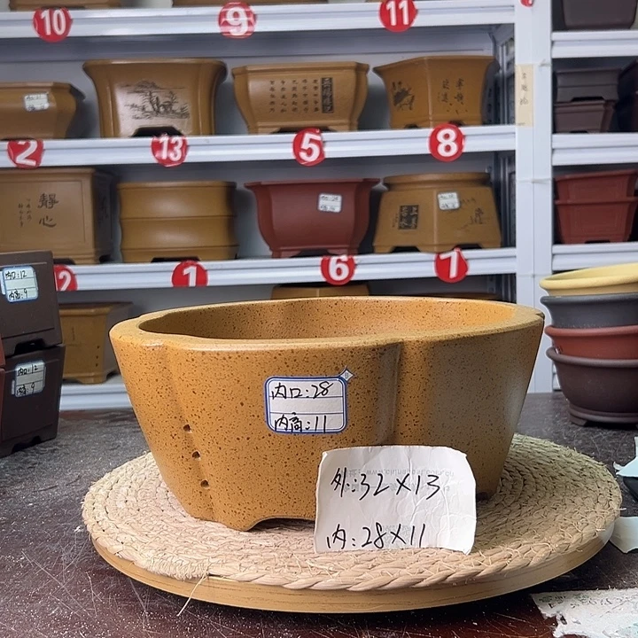 紫砂花盆蛇年大吉