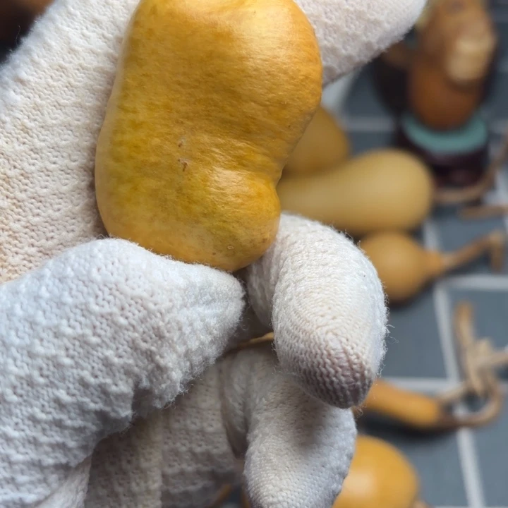 及***雨6666666666666666666