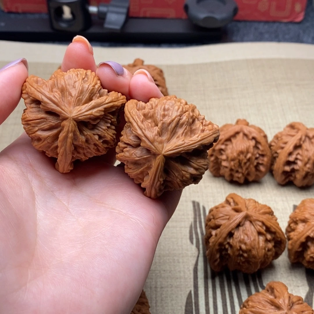 泪****葱白狮子111111111111