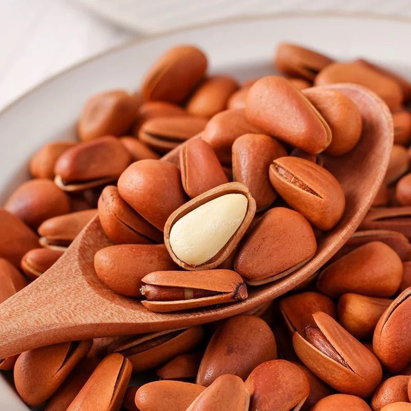 净重1斤东北新货开口松子大颗粒特产坚果零食原味袋装批发