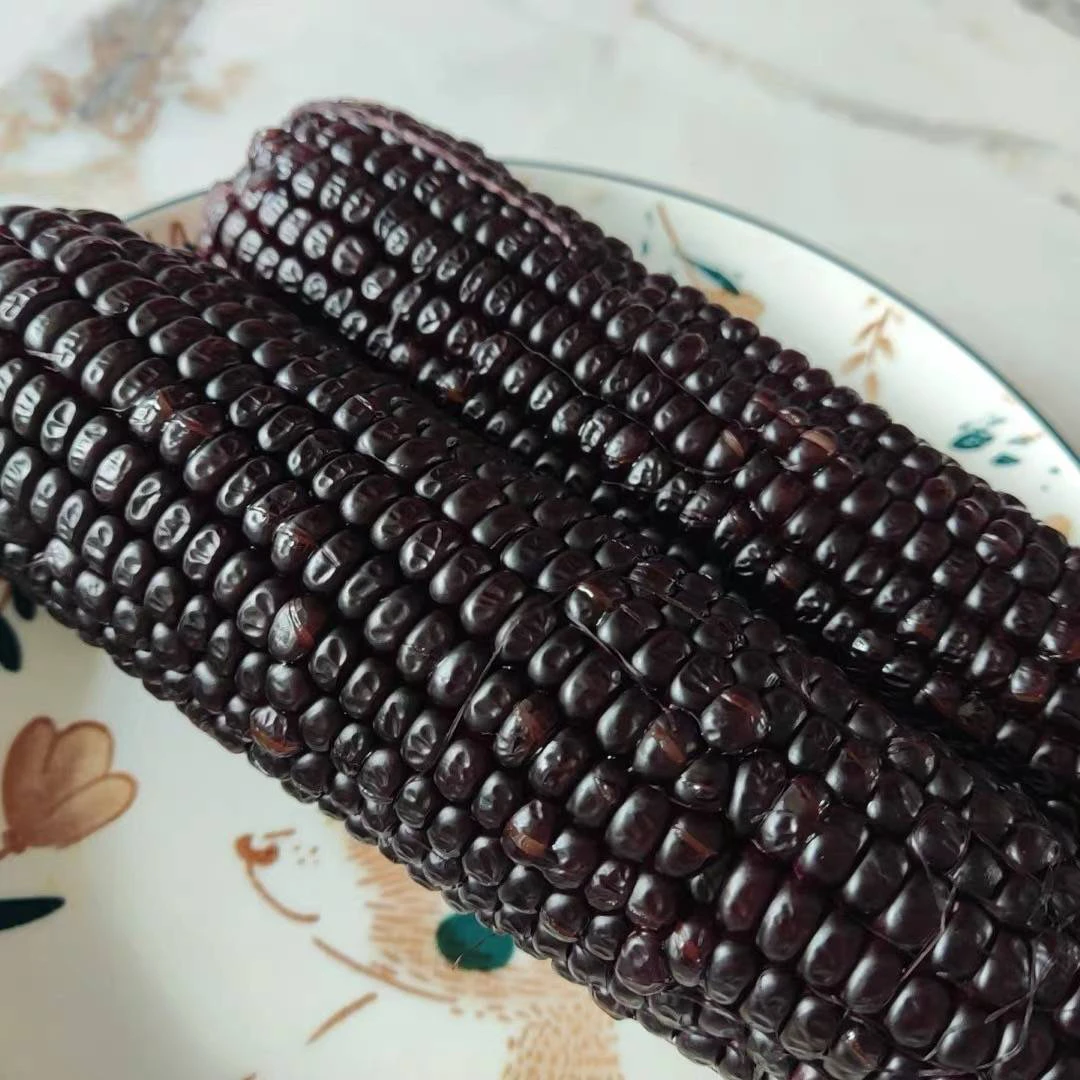 【小时达】新鲜带皮黑糯玉米7根（大号）（黑色品种问题，口感偏硬）（介意勿拍）黑糯玉米上海市