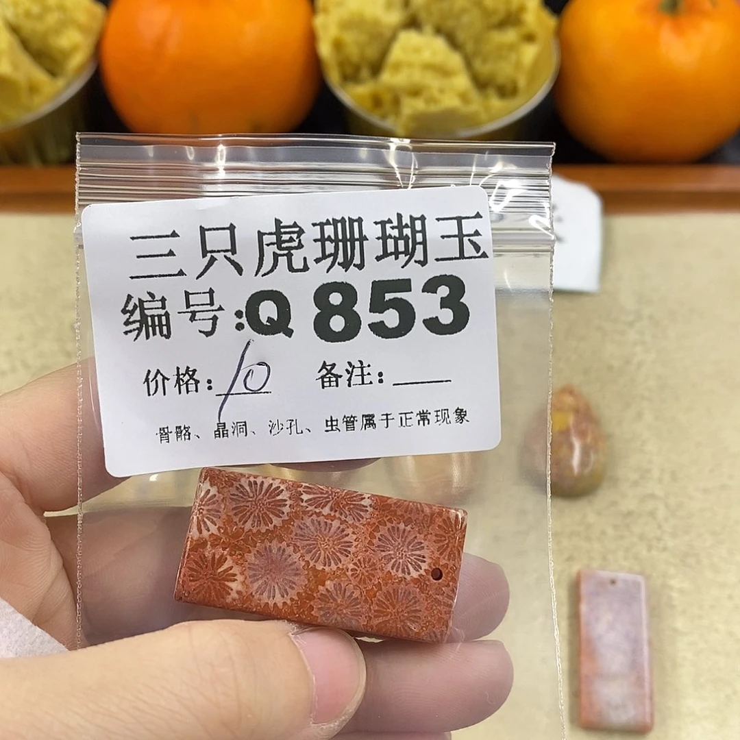 硅化珊瑚（珊瑚玉）1未镶嵌莫**儿