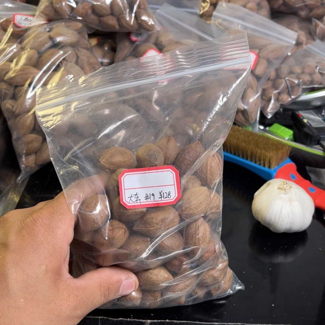 吊坠龙脊菩提力***常