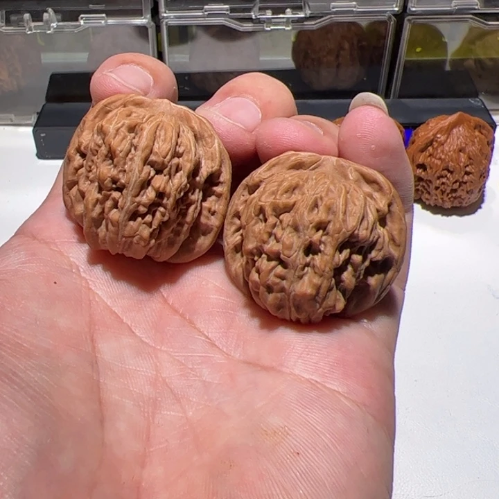 四座楼会议室举行会谈