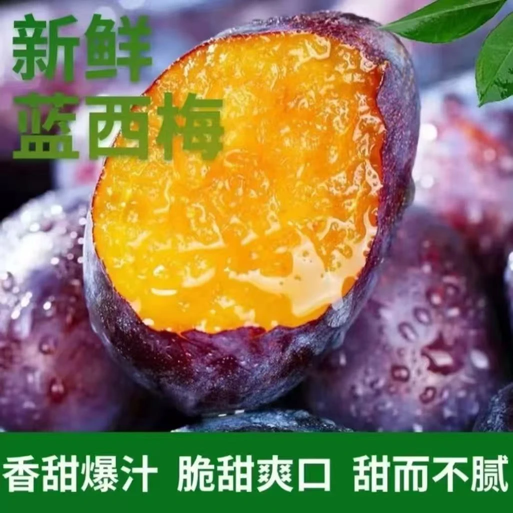 X【放软再吃】新鲜现摘新疆大西梅鲜果正宗酸甜可口当季水果