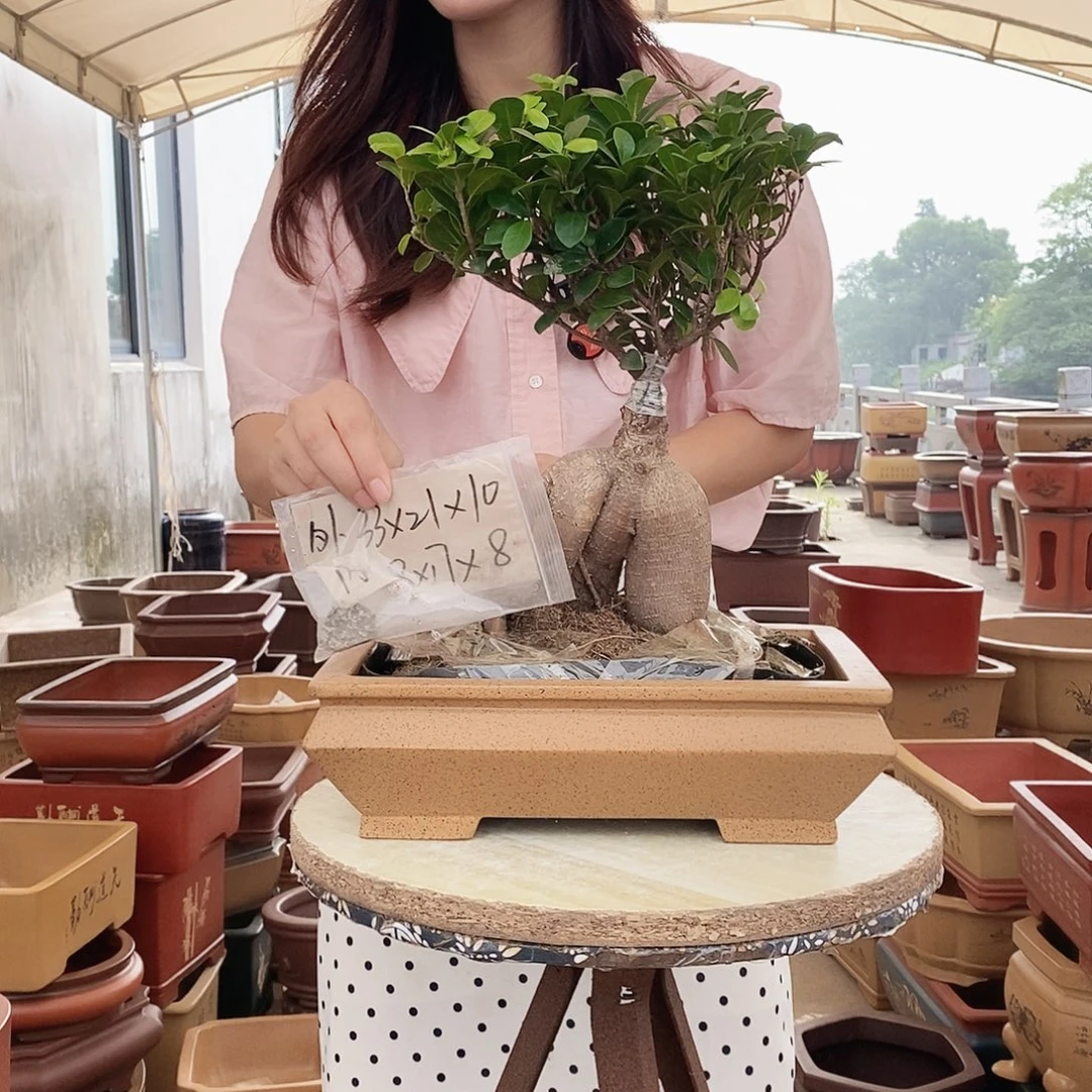 紫砂花盆紫砂花盆