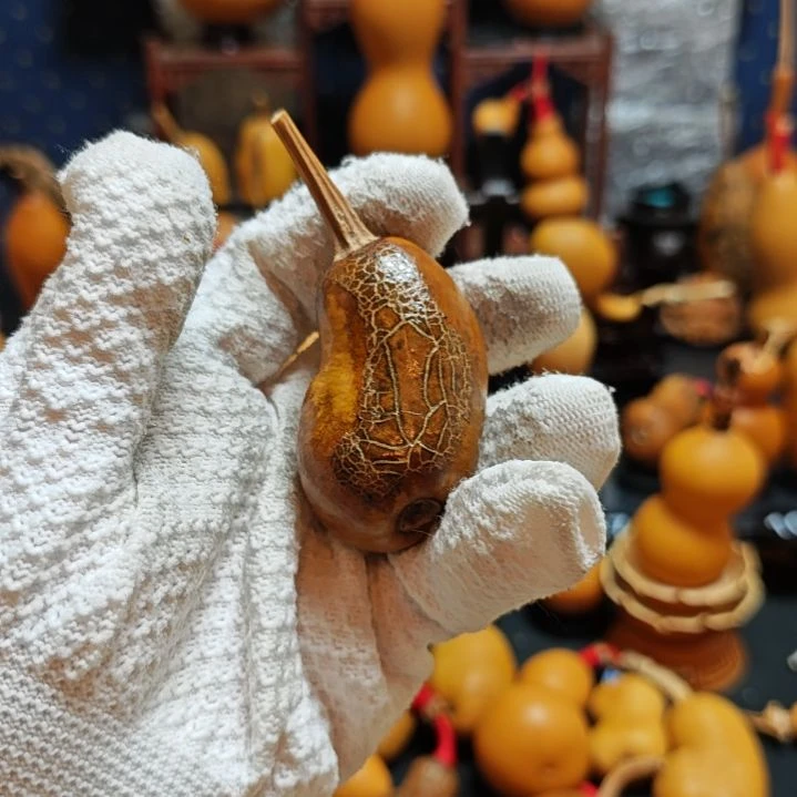 李***铮直播间链接葫芦葫芦