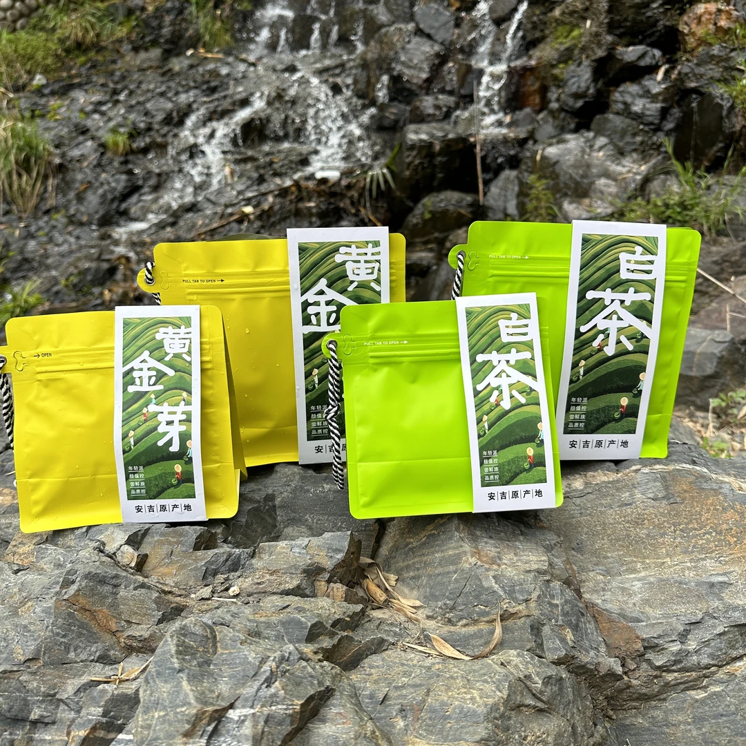 【H1A1混合装旅行装头采】安吉梓坊原产地黄金芽白茶香味足高山小芽