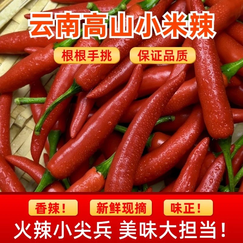 新鲜现摘云南小米辣椒特辣朝天椒可做泡椒剁椒炒菜用3斤5斤装