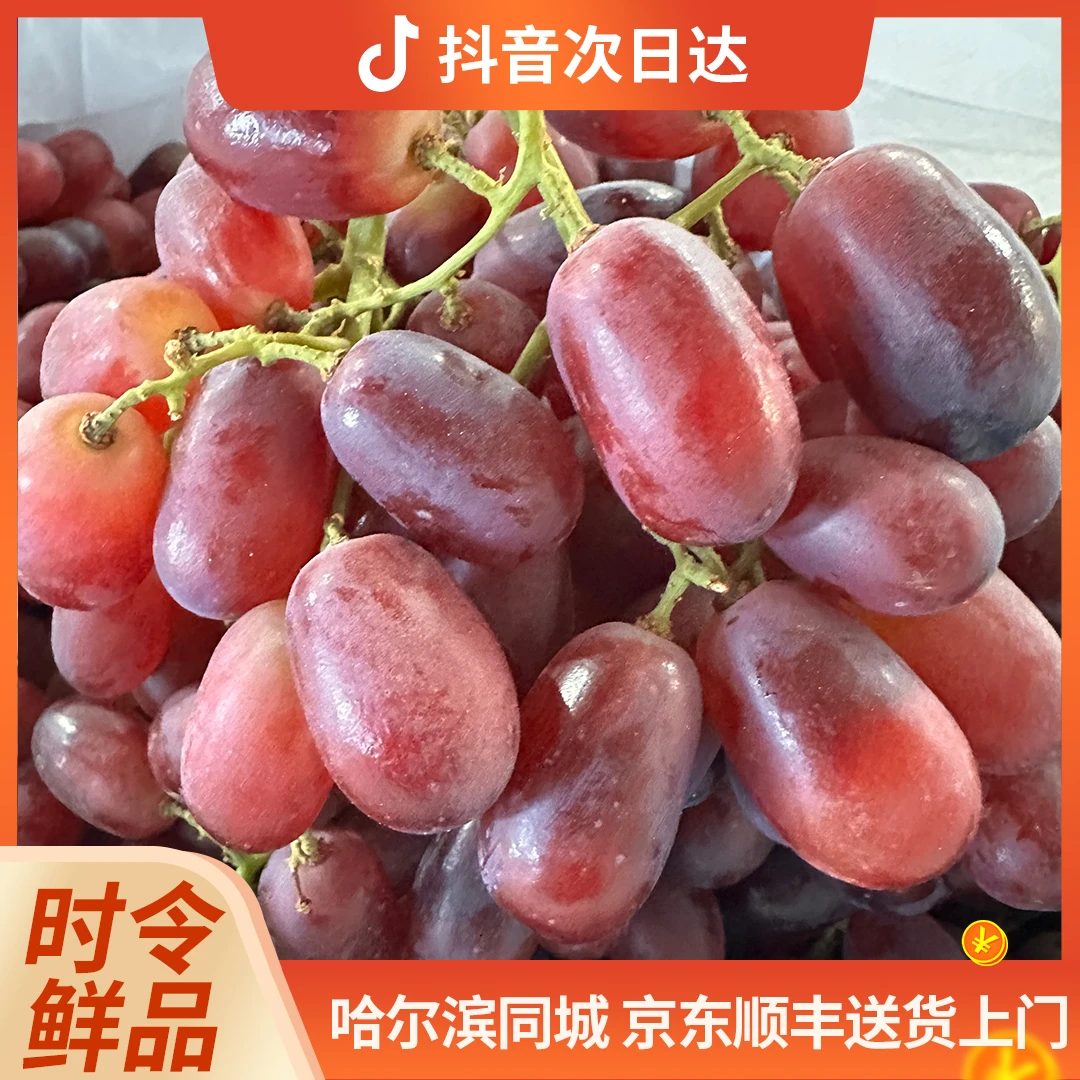 克伦生红提 无籽提 2.5-4.2斤/箱