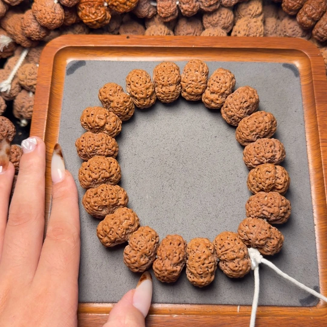 11号尼泊尔大金刚25五星梅花蜂窝夹板手持