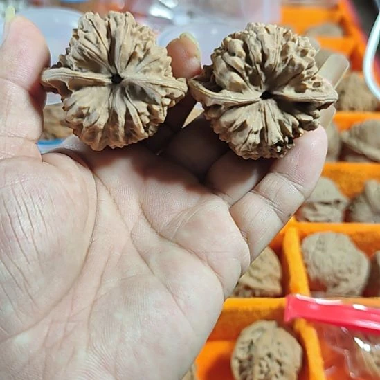 文玩核桃把件官帽全品