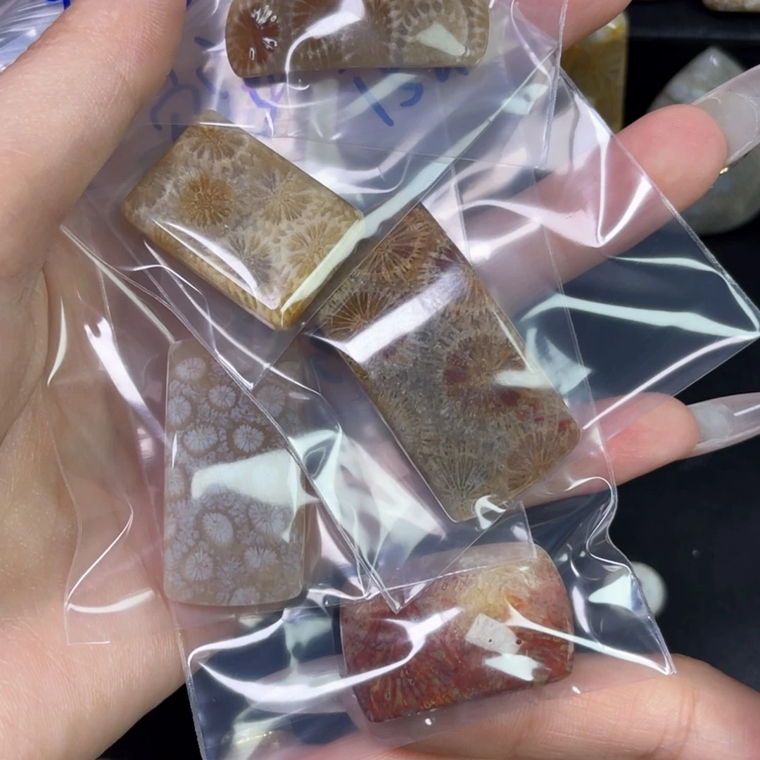 硅化珊瑚（珊瑚玉）吊坠未镶嵌