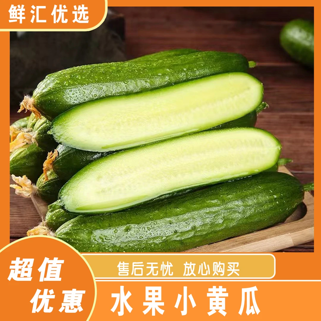C（助农补贴）山东寿光水果小黄瓜现摘现发新鲜蔬菜生吃黄瓜