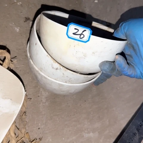 瓷片国营厂库存微瑕12厘米2送一26