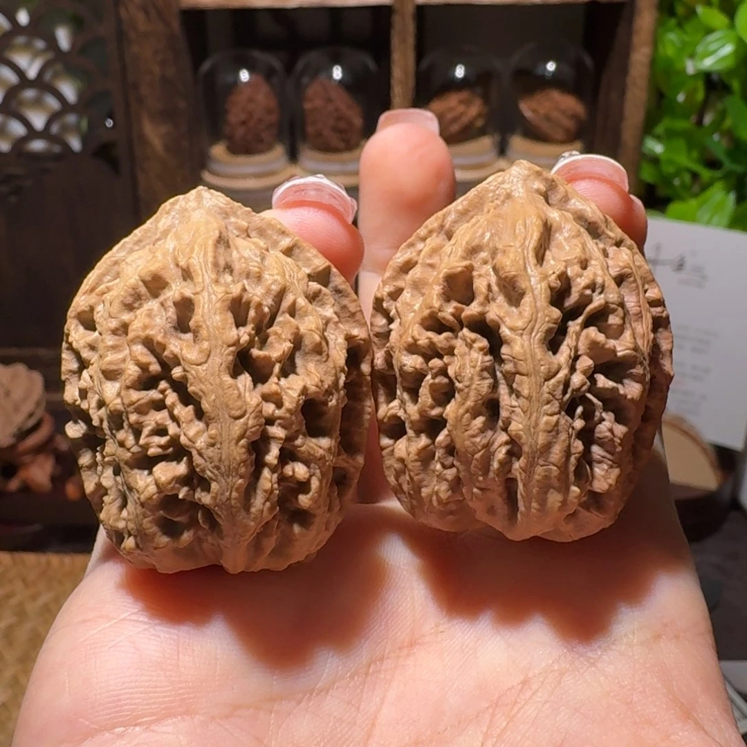 文玩核桃把件蚂蚁