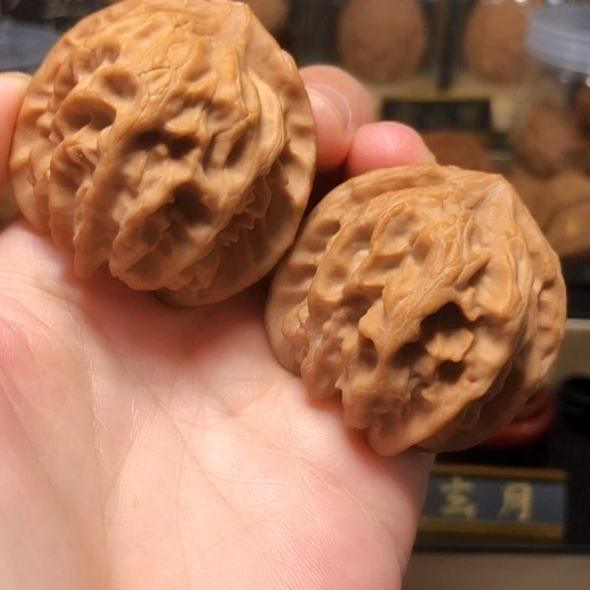 野生小众：曹大龙