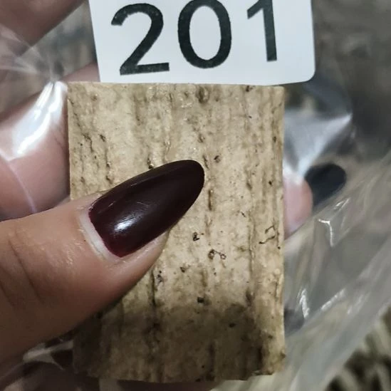 云***轻鹿角鹿角鹿角鹿角鹿角鹿角