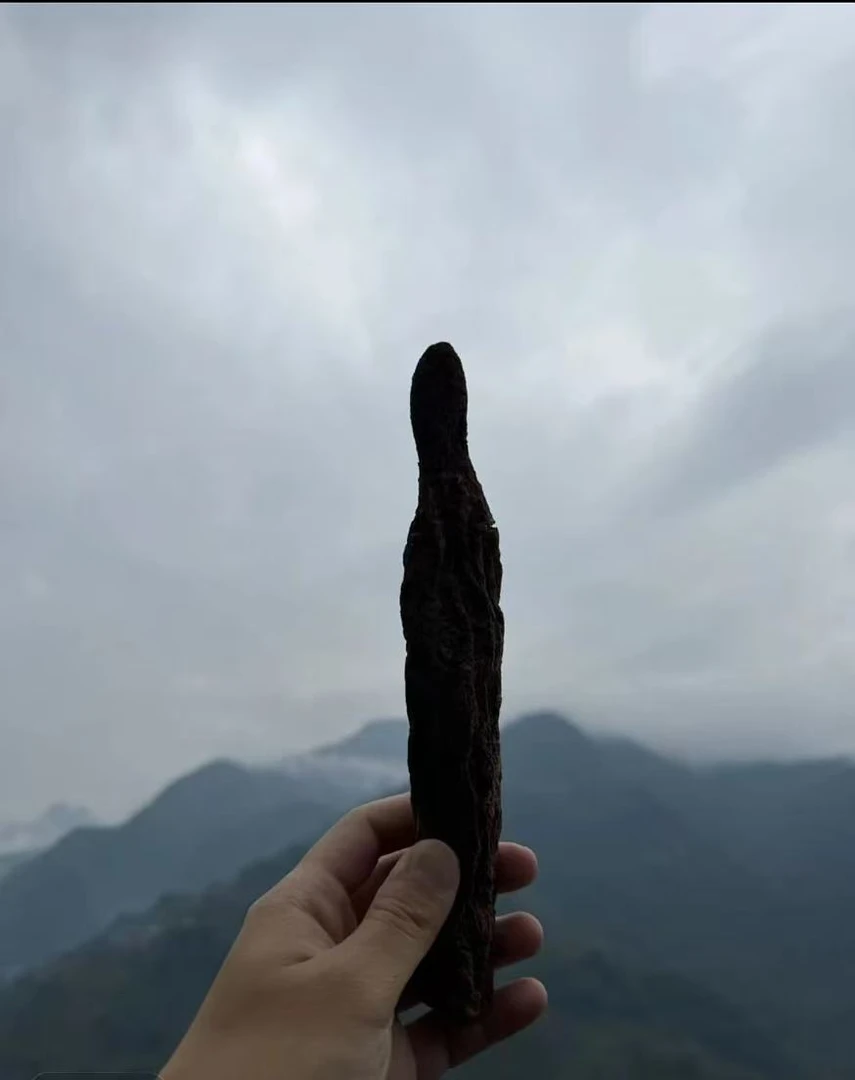 【泰辉】8.顶天柱五味泡 手工精选当季新货650g