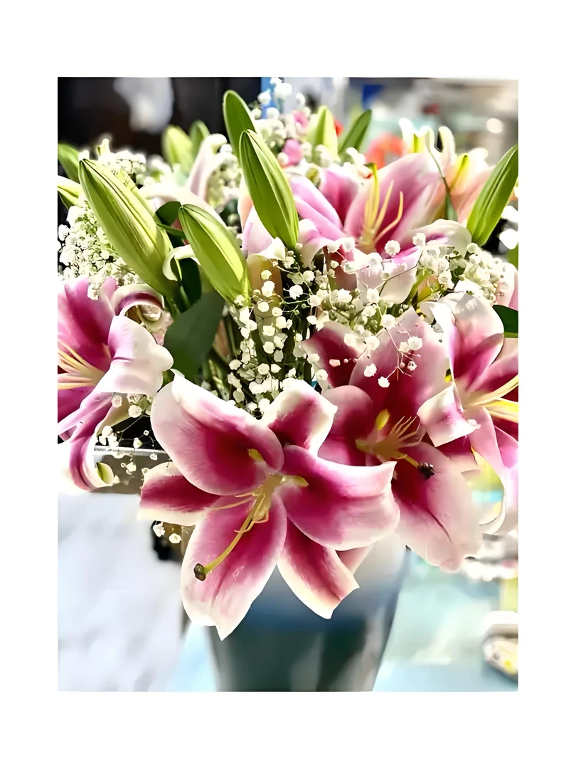 （俩头）粉色大连香水百合东北凌源直发顺丰包邮