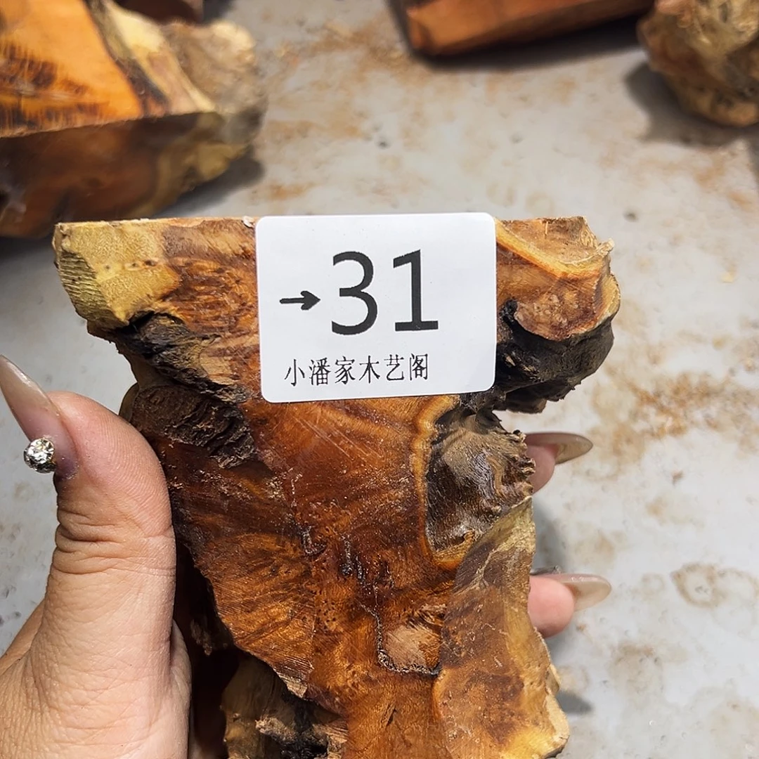 万***城香榧木麻梨抵达……