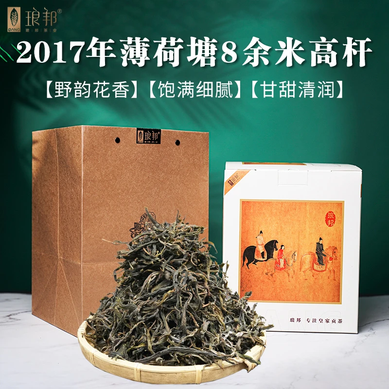 琅邦2017年薄荷塘8余米高杆挑采(臻系列)散毛茶
