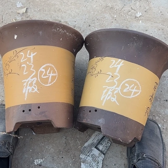 紫砂工艺厂……紫砂工艺厂……