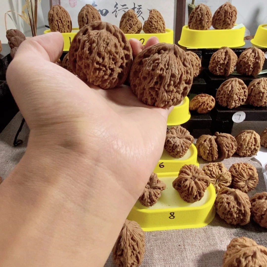 木质类47尺60克左右的大