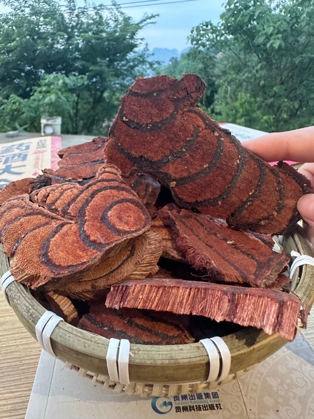 贵州野生山里货 鸡血藤 纯天然藤本植物