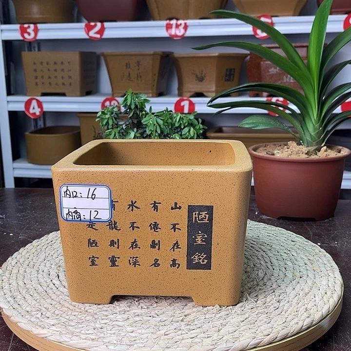 紫砂花盆紫砂花茶