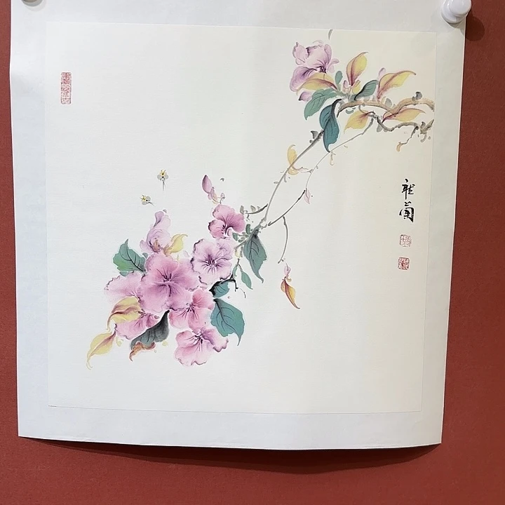 国画听兰老师花鸟