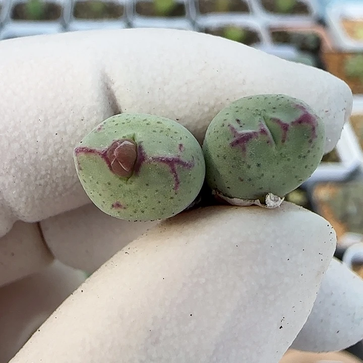 694福利福利福利福利