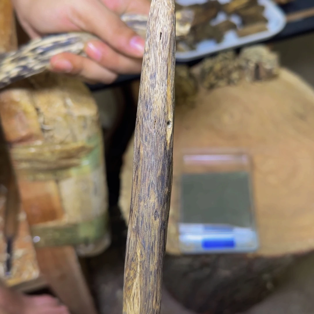 沉香虫漏树心油发一份