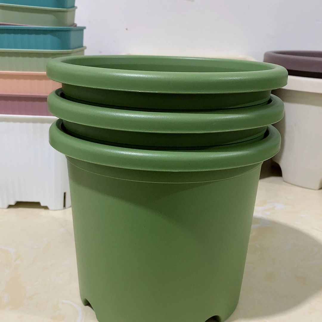 树脂四季口21果绿3个无托