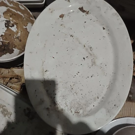 瓷发两个鱼盘长31