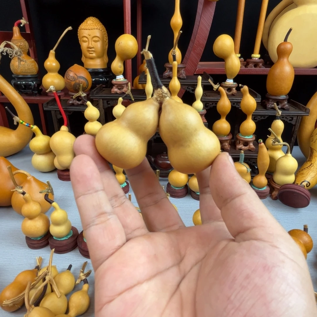 好***奥藤木我的小可爱，一点也不像个女孩