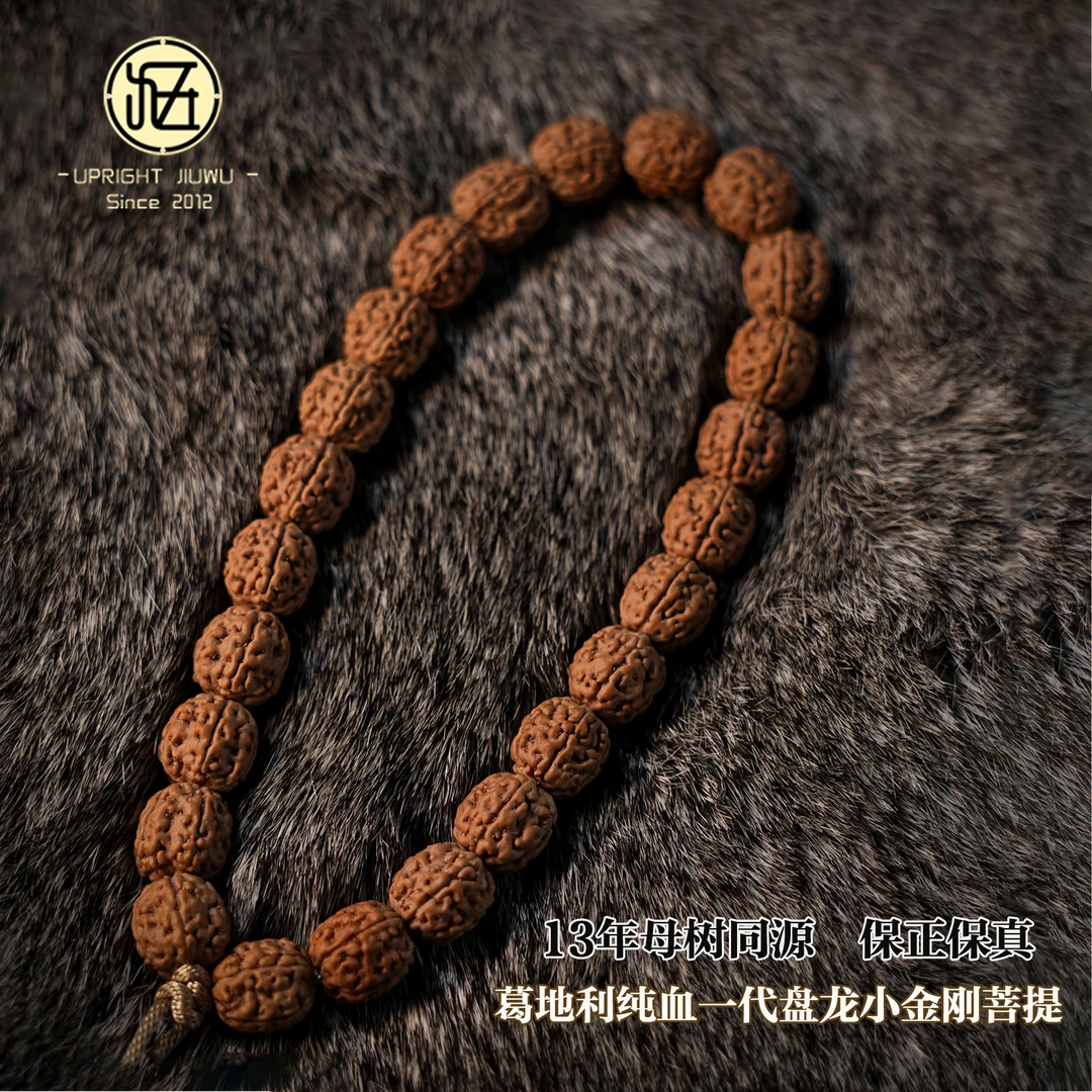【13年母树同源】葛地利纯血一代盘龙小金刚菩提单圈手串男女款送礼