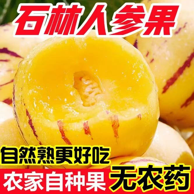 【新鲜采摘】云南石林应季黄肉果树上自然成熟新鲜清甜水果