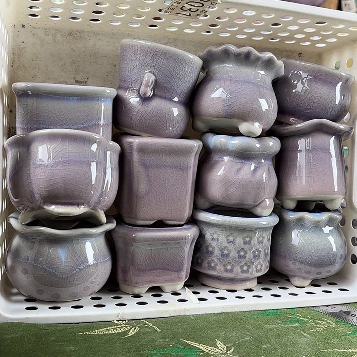 红陶一物一拍，所见即所得