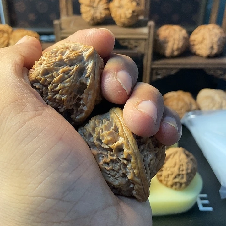 全***粉蚂蚁124543只大的