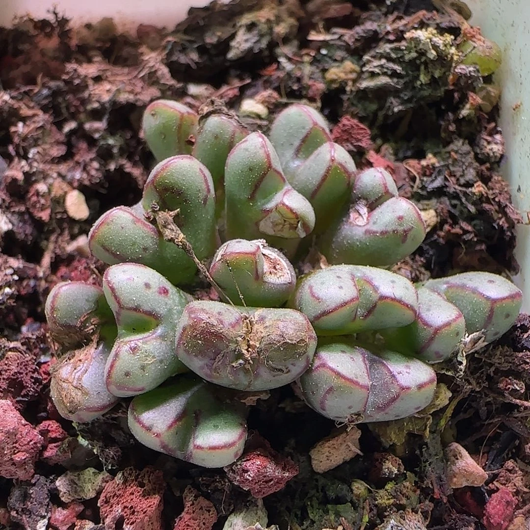 开播福利了解一下。368
